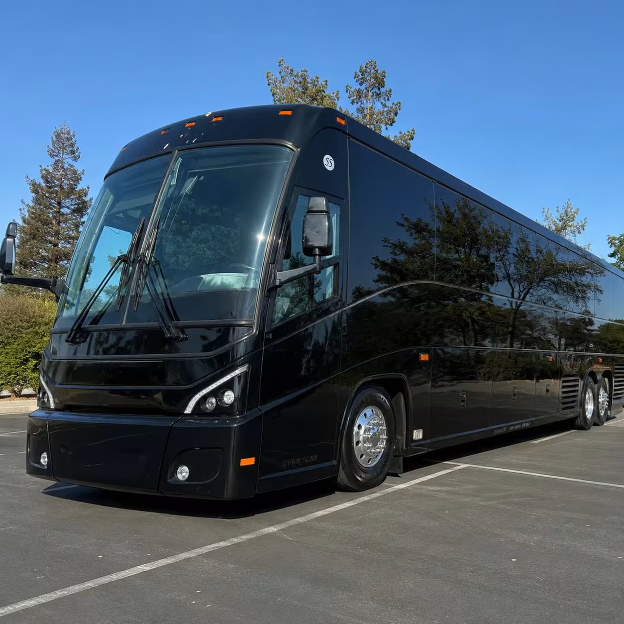 danbury charter bus rentals for yale peabody museum field trips