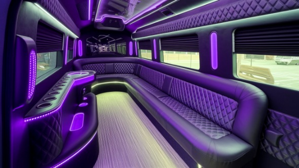 sprinter limo rental interior